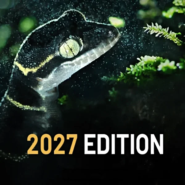 Environmental Photography Award 2027 competition artwork