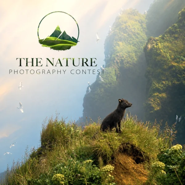 The Nature Photography Contest 2026 competition artwork